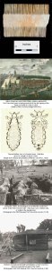 ancient lice combs